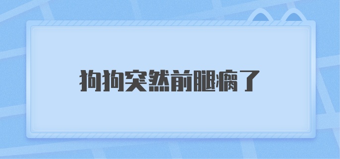 狗狗突然前腿瘸了