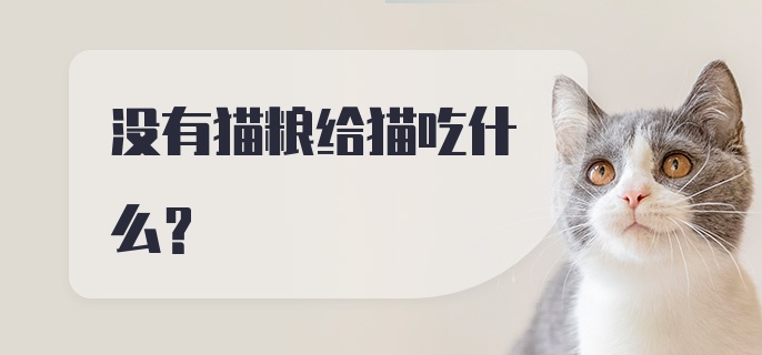 没有猫粮给猫吃什么？