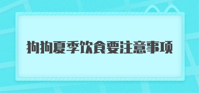 狗狗夏季饮食要注意事项