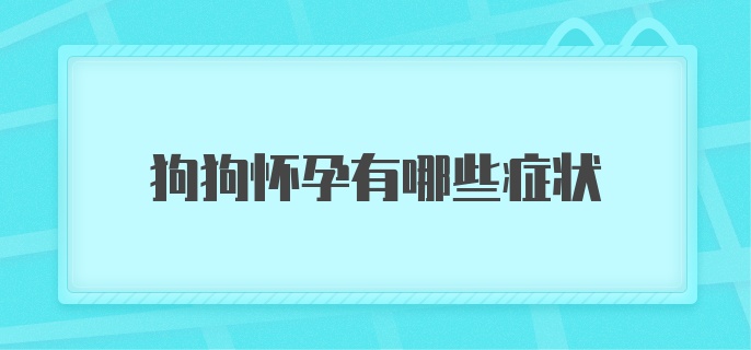 狗狗怀孕有哪些症状