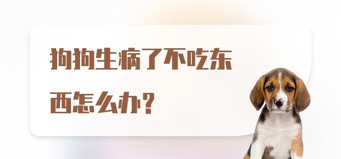 狗狗生病了不吃东西怎么办?