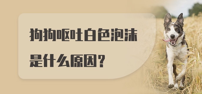 狗狗呕吐白色泡沫是什么原因？