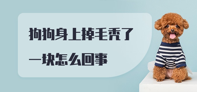 狗狗身上掉毛秃了一块怎么回事