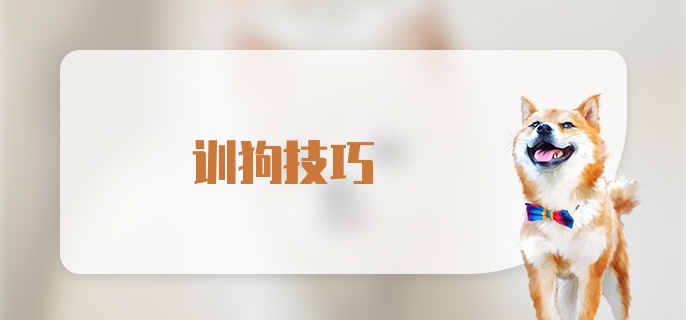 训狗技巧