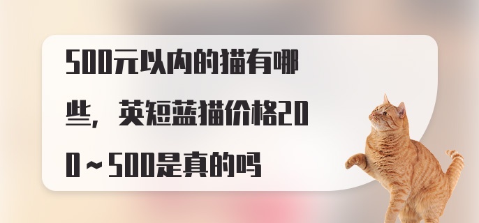 500元以内的猫有哪些，英短蓝猫价格200～500是真的吗