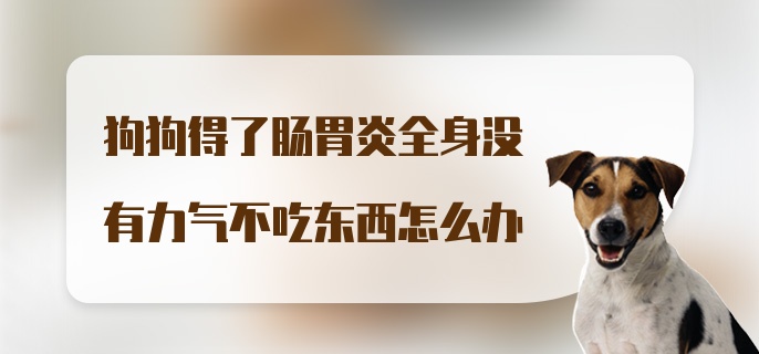 狗狗得了肠胃炎全身没有力气不吃东西怎么办