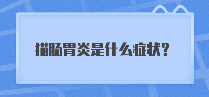 猫肠胃炎是什么症状？