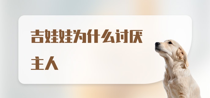 吉娃娃为什么讨厌主人