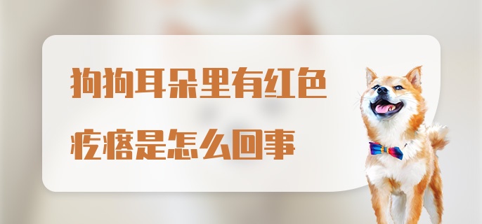 狗狗耳朵里有红色疙瘩是怎么回事