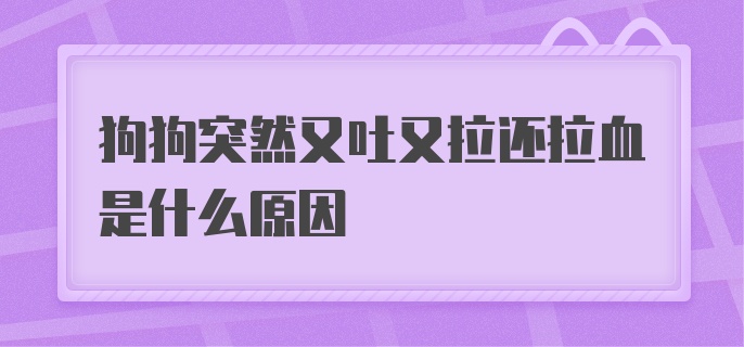 狗狗突然又吐又拉还拉血是什么原因