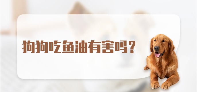 狗狗吃鱼油有害吗？