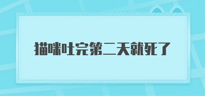 猫咪吐完第二天就死了