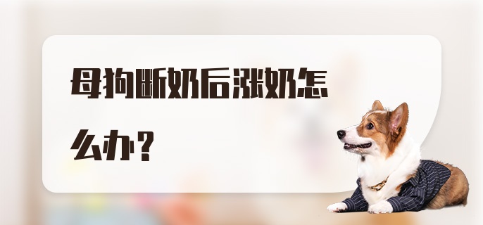 母狗断奶后涨奶怎么办？