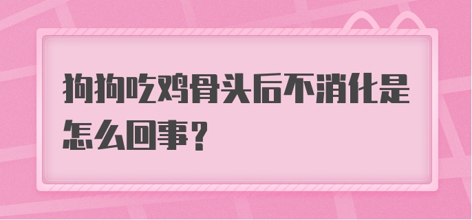 狗狗吃鸡骨头后不消化是怎么回事？