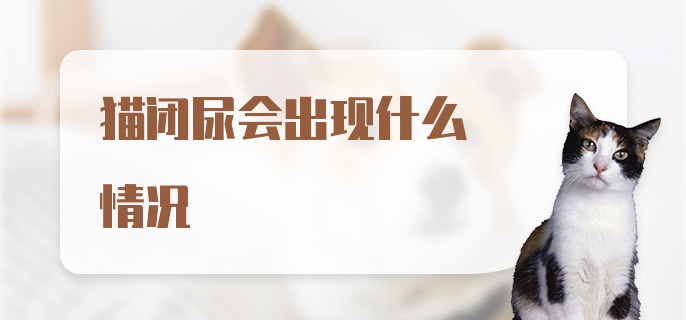 猫闭尿会出现什么情况