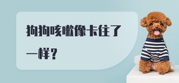 狗狗咳嗽像卡住了一样？