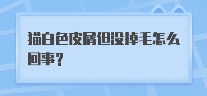 猫白色皮屑但没掉毛怎么回事？