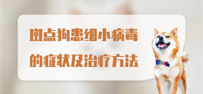 斑点狗患细小病毒的症状及治疗方法