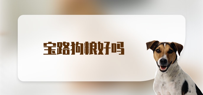 宝路狗粮好吗