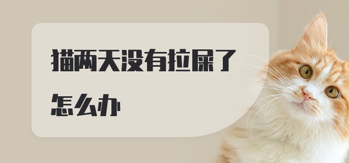 猫两天没有拉屎了怎么办