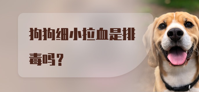 狗狗细小拉血是排毒吗?