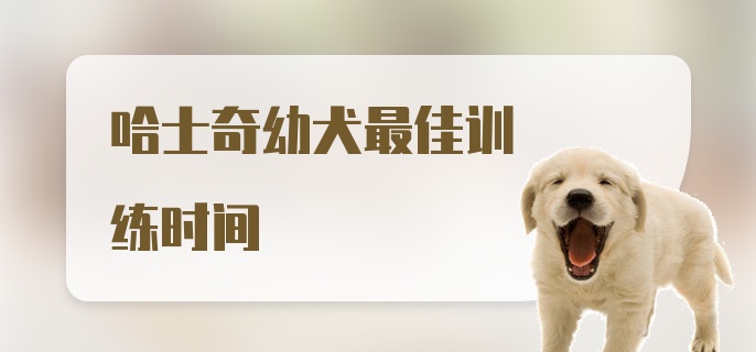 哈士奇幼犬最佳训练时间