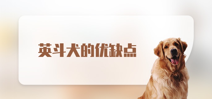 英斗犬的优缺点