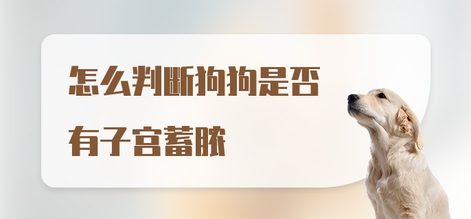 怎么判断狗狗是否有子宫蓄脓