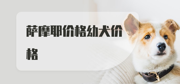 萨摩耶价格幼犬价格