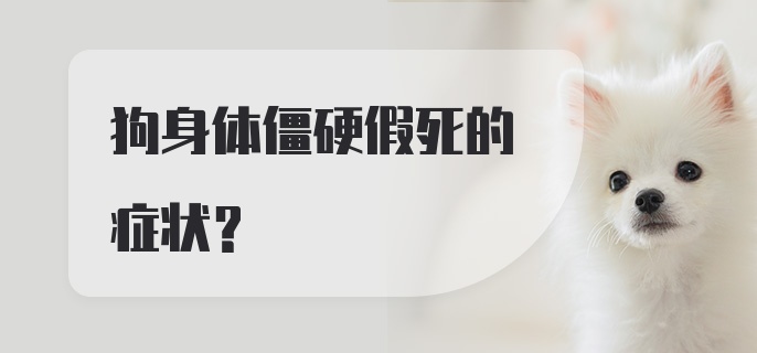 狗身体僵硬假死的症状？