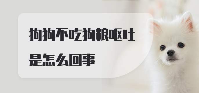 狗狗不吃狗粮呕吐是怎么回事