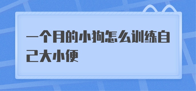 一个月的小狗怎么训练自己大小便