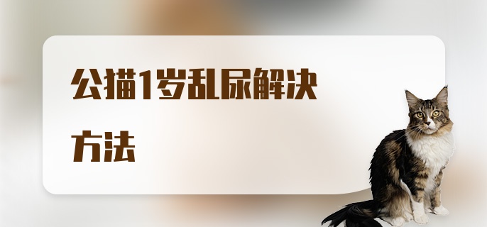 公猫1岁乱尿解决方法