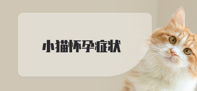 小猫怀孕症状