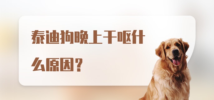 泰迪狗晚上干呕什么原因？