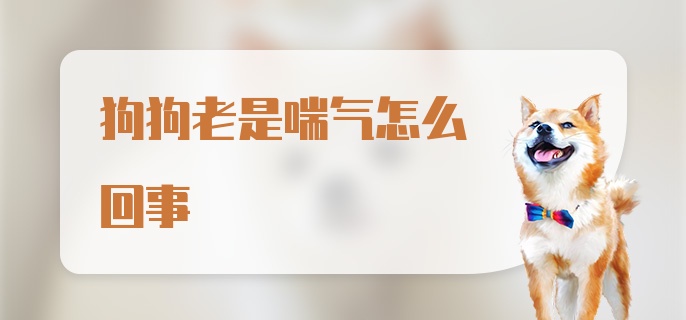 狗狗老是喘气怎么回事