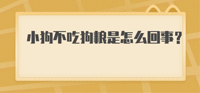 小狗不吃狗粮是怎么回事？