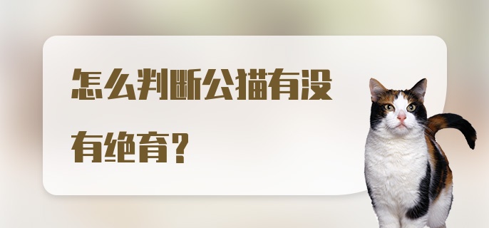 怎么判断公猫有没有绝育？