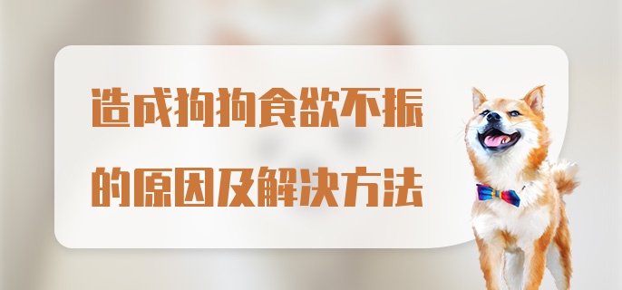 造成狗狗食欲不振的原因及解决方法