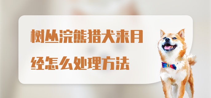 树丛浣熊猎犬来月经怎么处理方法