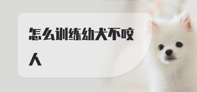 怎么训练幼犬不咬人