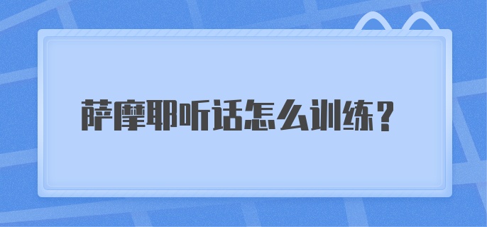 萨摩耶听话怎么训练？