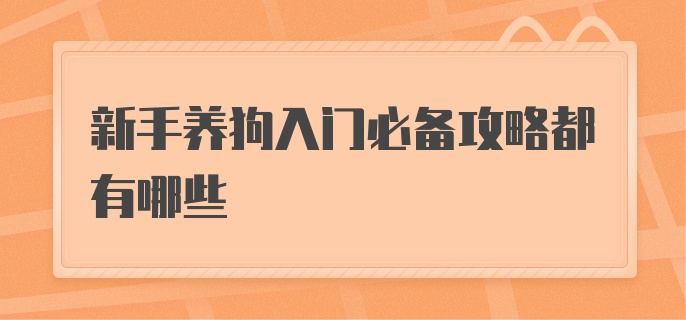 新手养狗入门必备攻略都有哪些