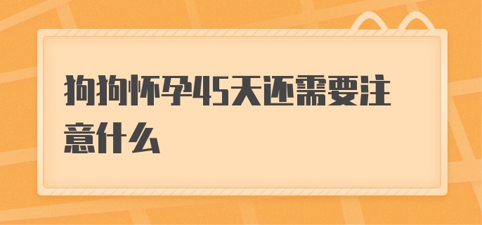 狗狗怀孕45天还需要注意什么