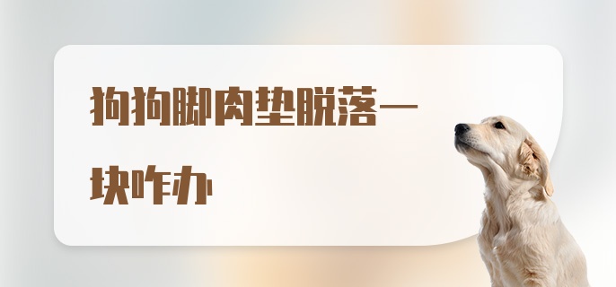 狗狗脚肉垫脱落一块咋办