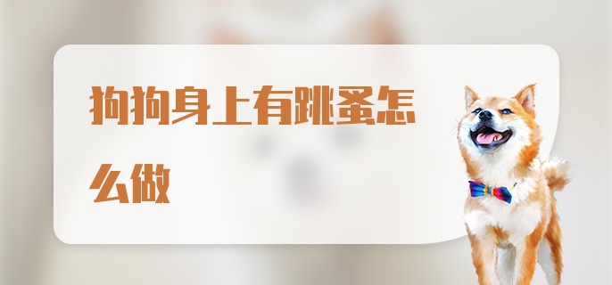 狗狗身上有跳蚤怎么做