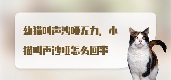 幼猫叫声沙哑无力，小猫叫声沙哑怎么回事