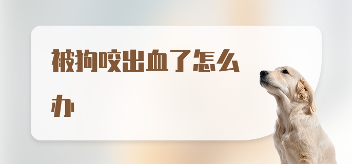 被狗咬出血了怎么办