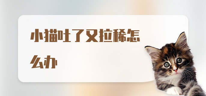 小猫吐了又拉稀怎么办