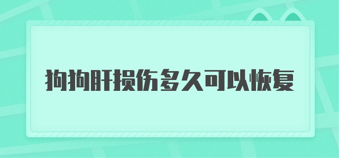 狗狗肝损伤多久可以恢复